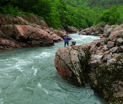 ������ �������