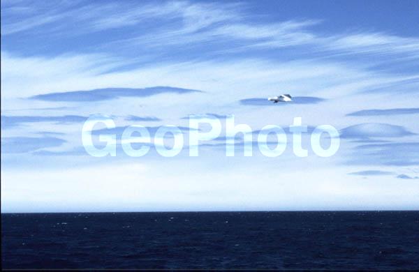 ��������, ����, ����, ������, ������, �����, �����