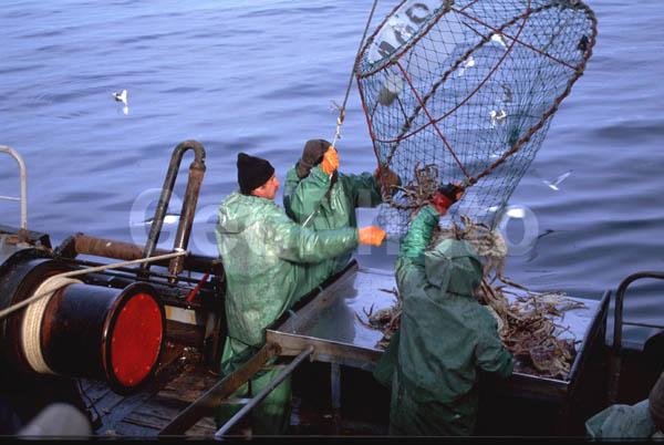 ��������, ������, ����� ����, ���������� ����, �������� �������, �������� ��������, ��������, ���������, ������� ���������, ������������, ������