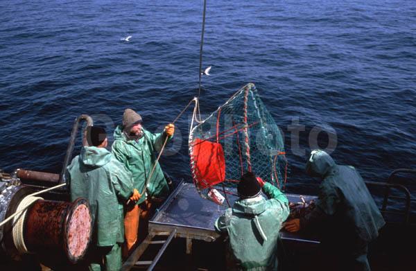 ��������, ����� ����, ���������� ����, �������� �������, �������� ��������, ��������, ���������, ������� ���������, ������������, ������