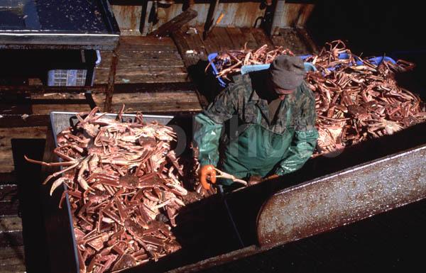 ��������, ����-������� ������, �������� ��������, ��������, ���������, ���������� �����, �������, ����, ������������, ������� �����, ������� ����������, ��������� �����, �������, ������������, �����