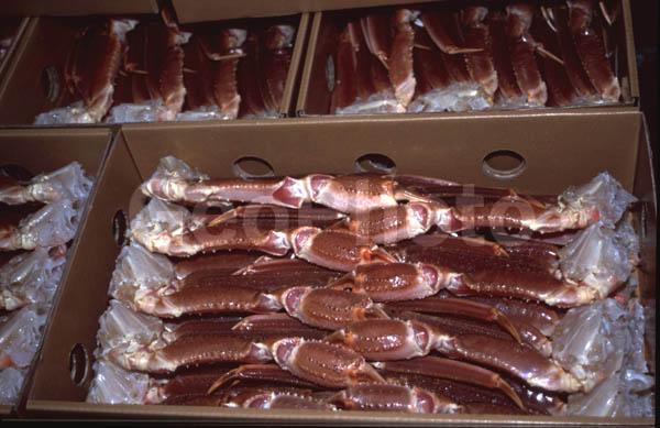 ��������, ����-������� ������, ���������� �����, �������, ����, ������������, ������� �����, ������� ����������, �������, �������� �����-�������� ������, �����