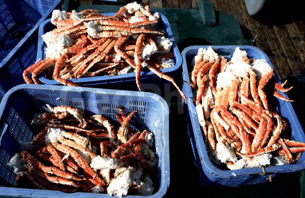 ��������, ����-������� ������, �������� ��������, ��������, ���������, ���������� �����, �������, ����, ������������, ������� �����, ������� ����������, �������, �������� ����������� �����, �����