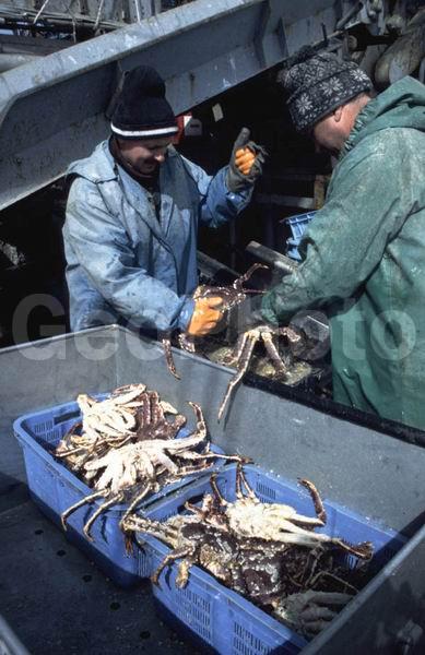 ��������, ����-������� ������, �������� ��������, ��������, ���������, ���������� �����, �������, ����, ������������, ������� �����, ������� ����������, �������, �����