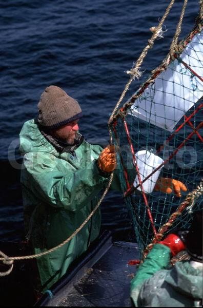 ��������, ����� ����, ���������� ����, �������� �������, �������� ��������, ��������, ���������, ������������, ������� ���������, ������������, ������