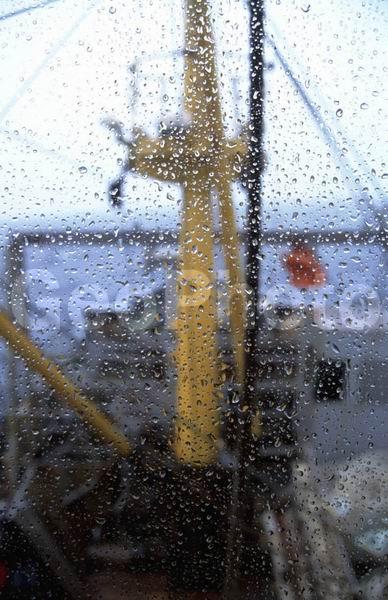 �������, �����, �����, �������� ��������, ��������, ���������, �����