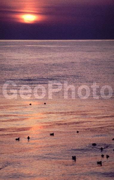 �����, �����, ����, ����