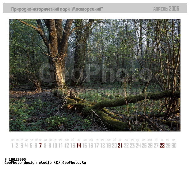 ������, ���������