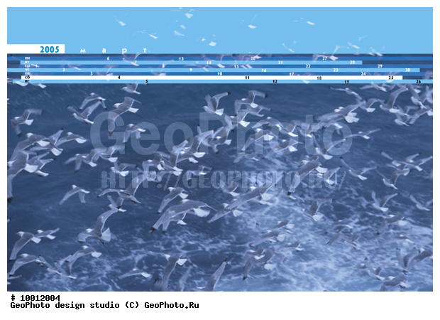 ������, ���������