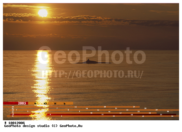 ������, ���������