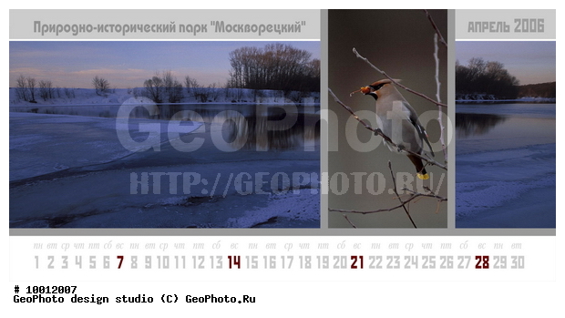 ������, ���������