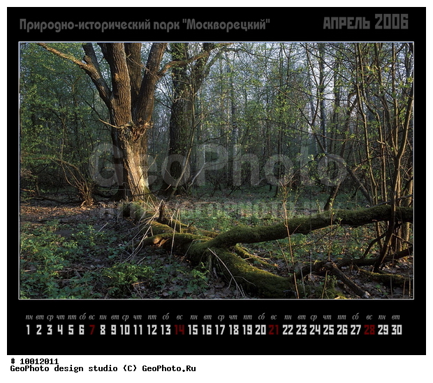 ������, ���������