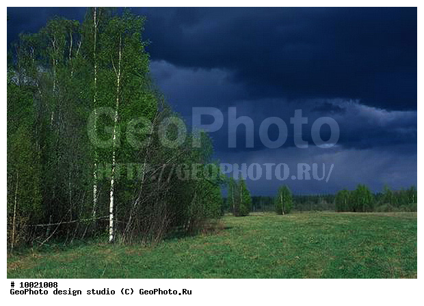 12, �������, ���������, �������, ������