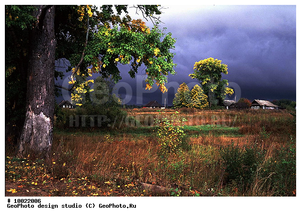 12, �������, �������, ���������