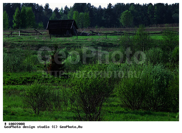 12, �������, �������, ���������