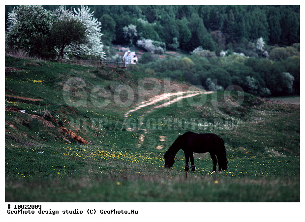 12, �������, �������, ���������