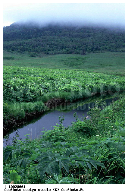 12, ���������, �������