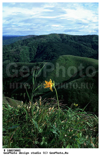 12, ���������, �������