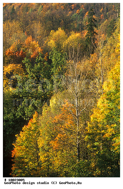 12, ���������, �������