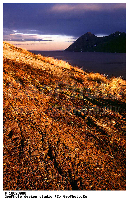 12, ���������, �������