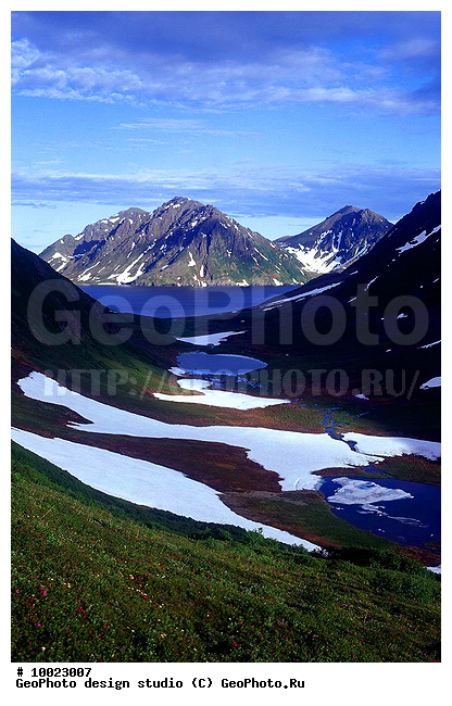 12, ���������, �������