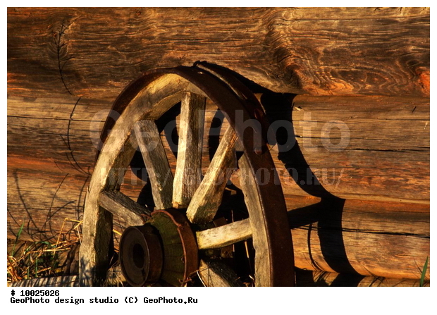 12, ����������� ������, �������, ���������, ������