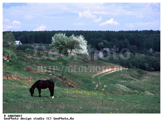 12, ����������� ������, �������, ���������, ������