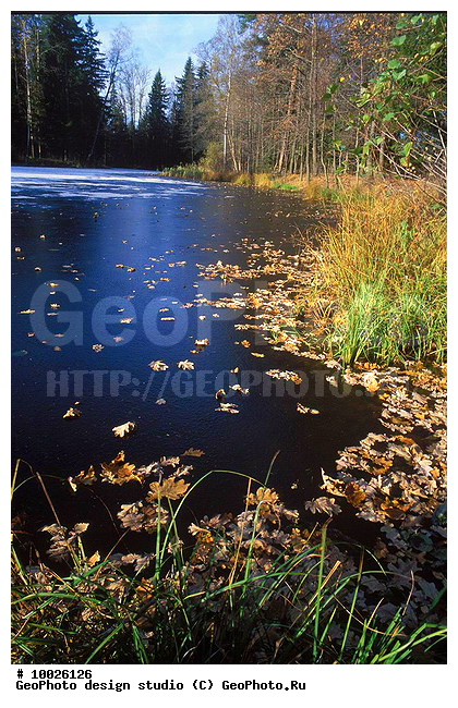 12, ������������, ������� ����, ���������, �����