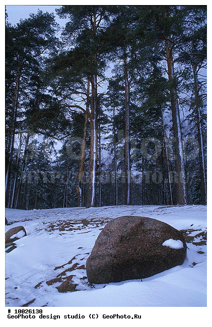 12, ������������, ������� ����, ���������, �����