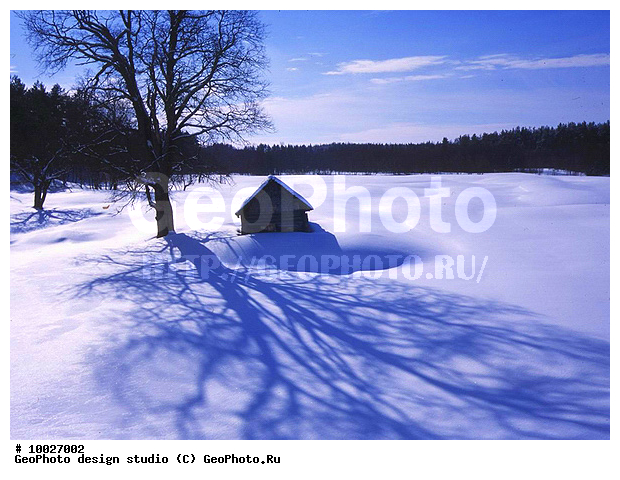 12, ������� ����, ���������, ������