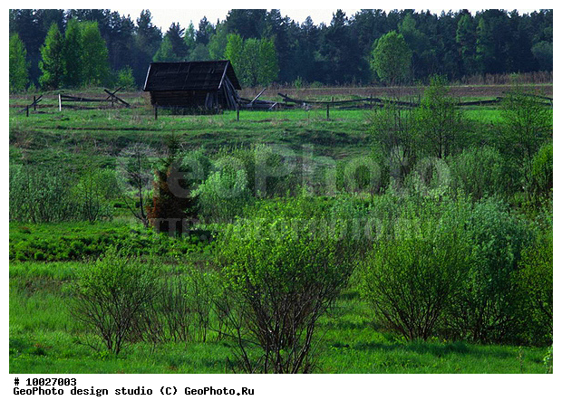 12, ������� ����, ���������, ������