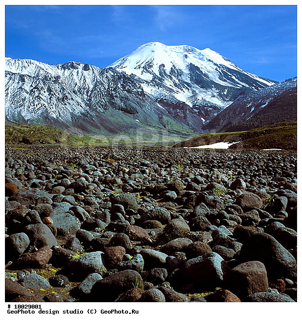 12, ���������