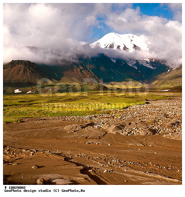 12, ���������