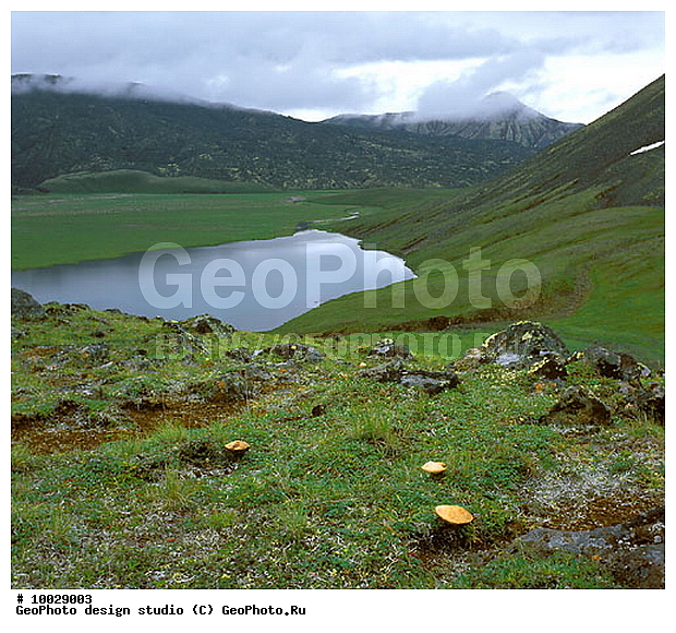 12, ���������