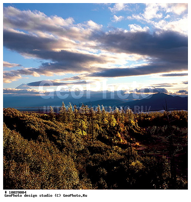 12, ���������