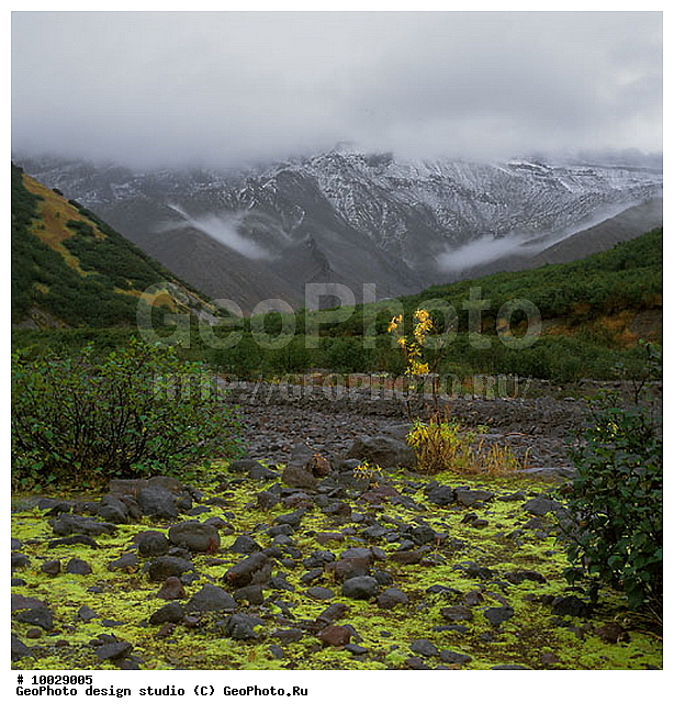 12, ���������