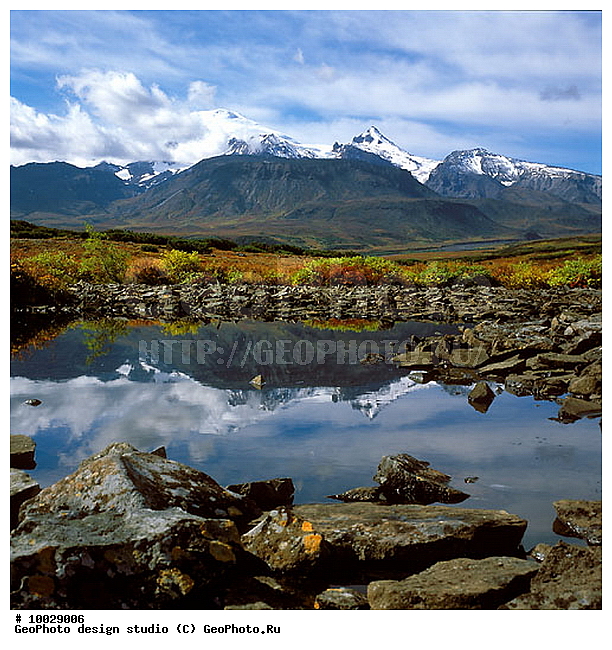 12, ���������