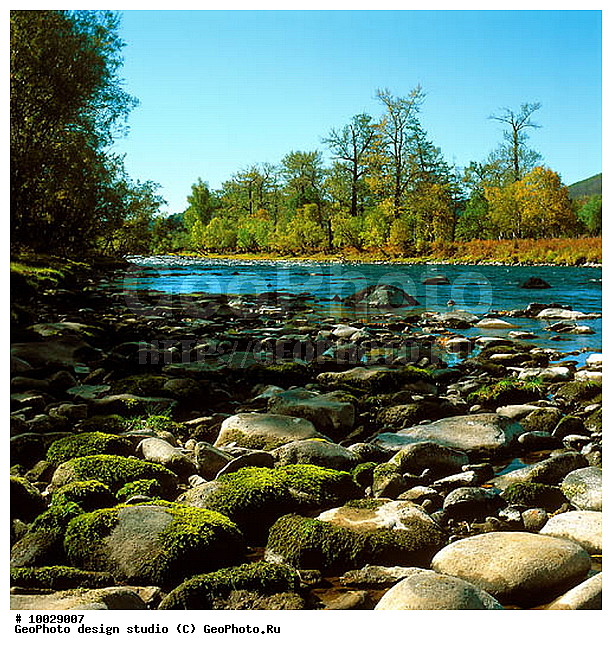 12, ���������