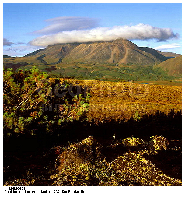 12, ���������