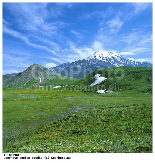 12, ���������