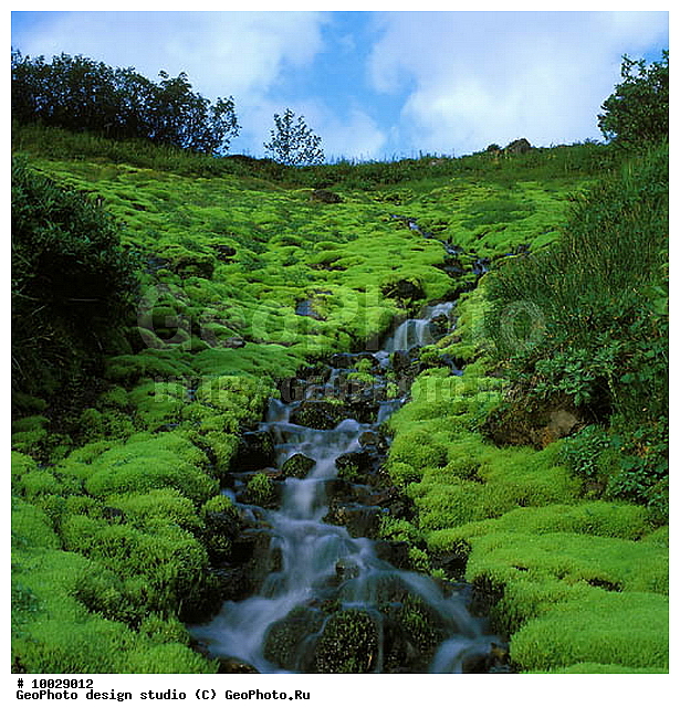 12, ���������