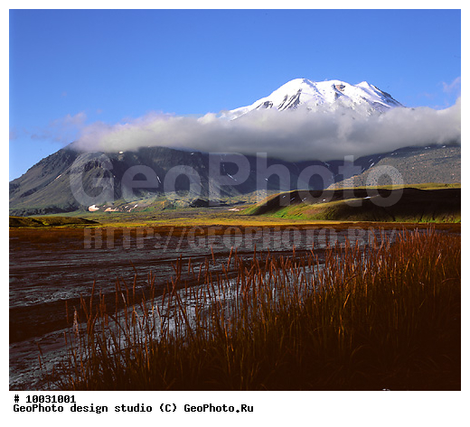 12, ���������