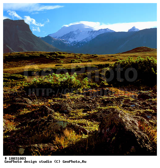 12, ���������