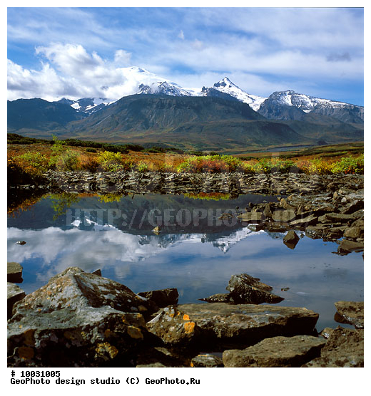 12, ���������