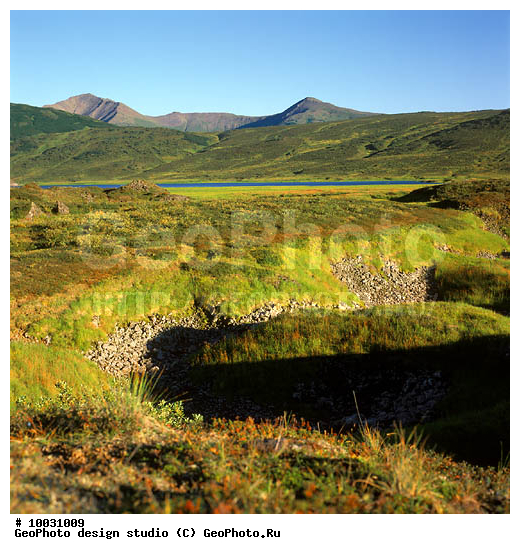 12, ���������