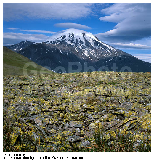 12, ���������