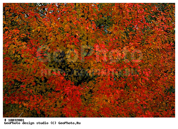 12, 2007, ���������