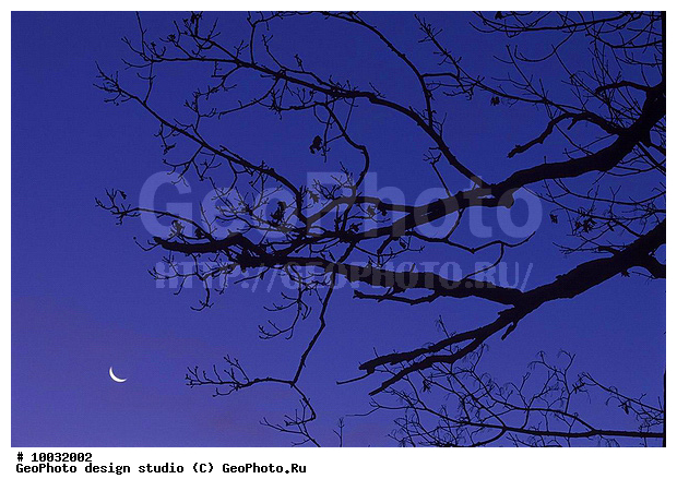 12, 2007, ���������