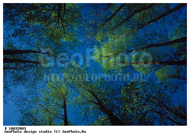 12, 2007, ���������