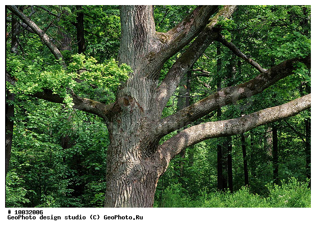 12, 2007, ���������